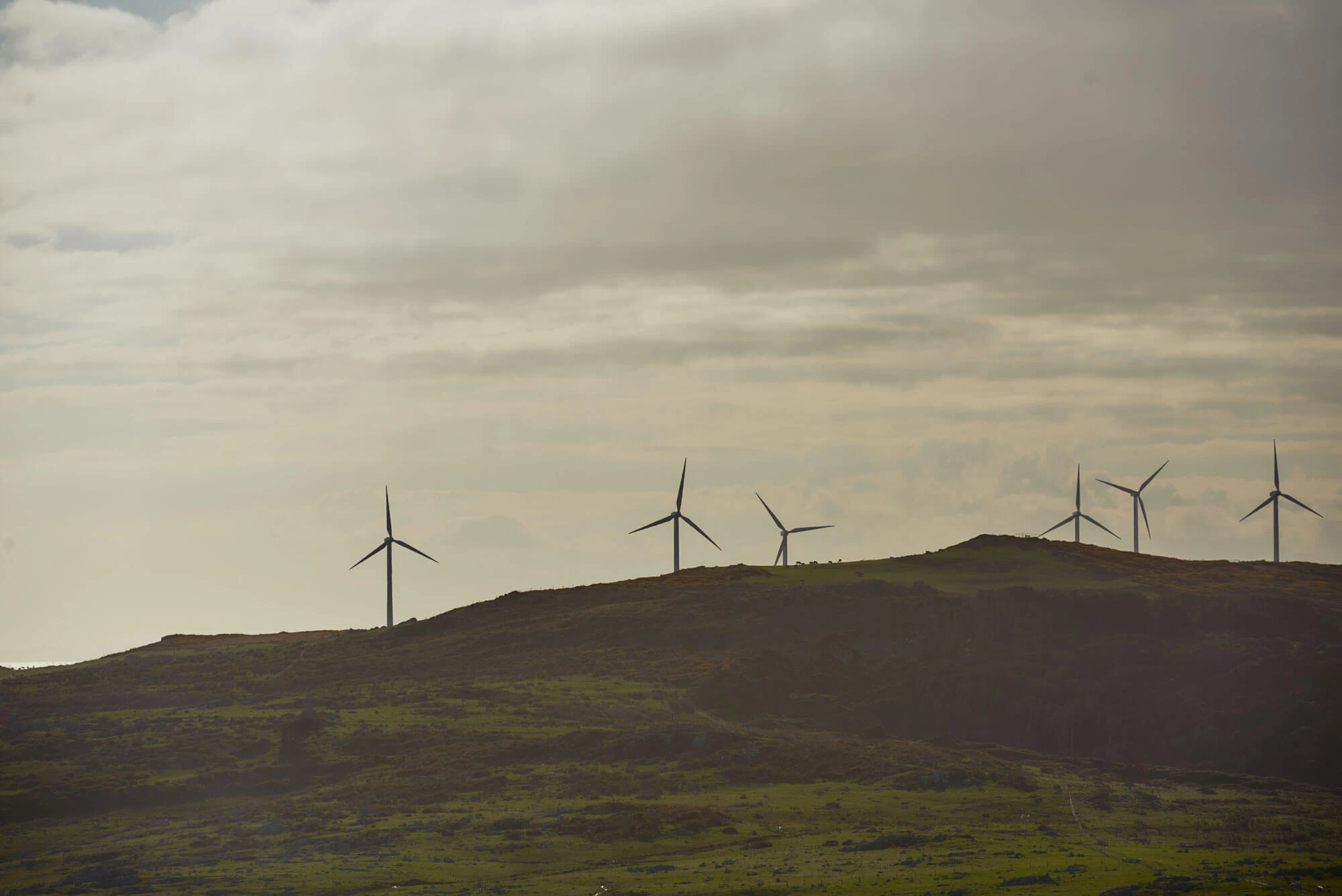 Wind Turbines Southland New Zealand Credit Sebastian Katzlese