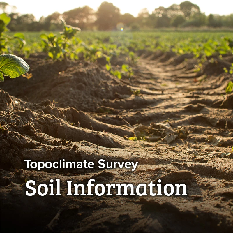 soil-information