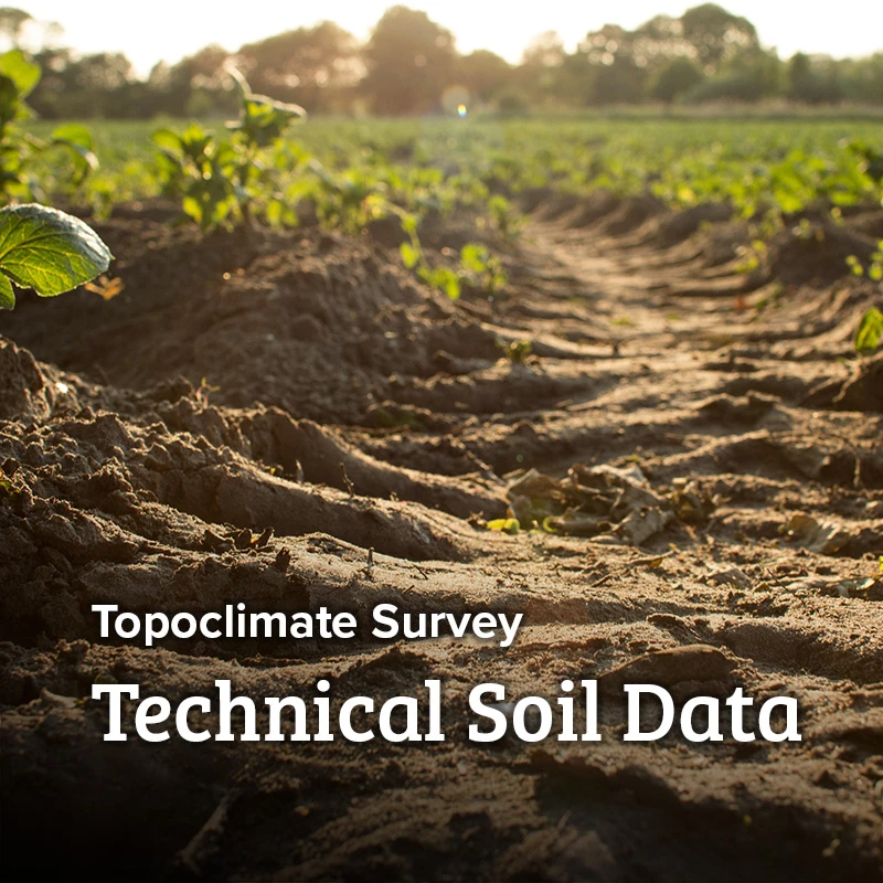 soil-technical