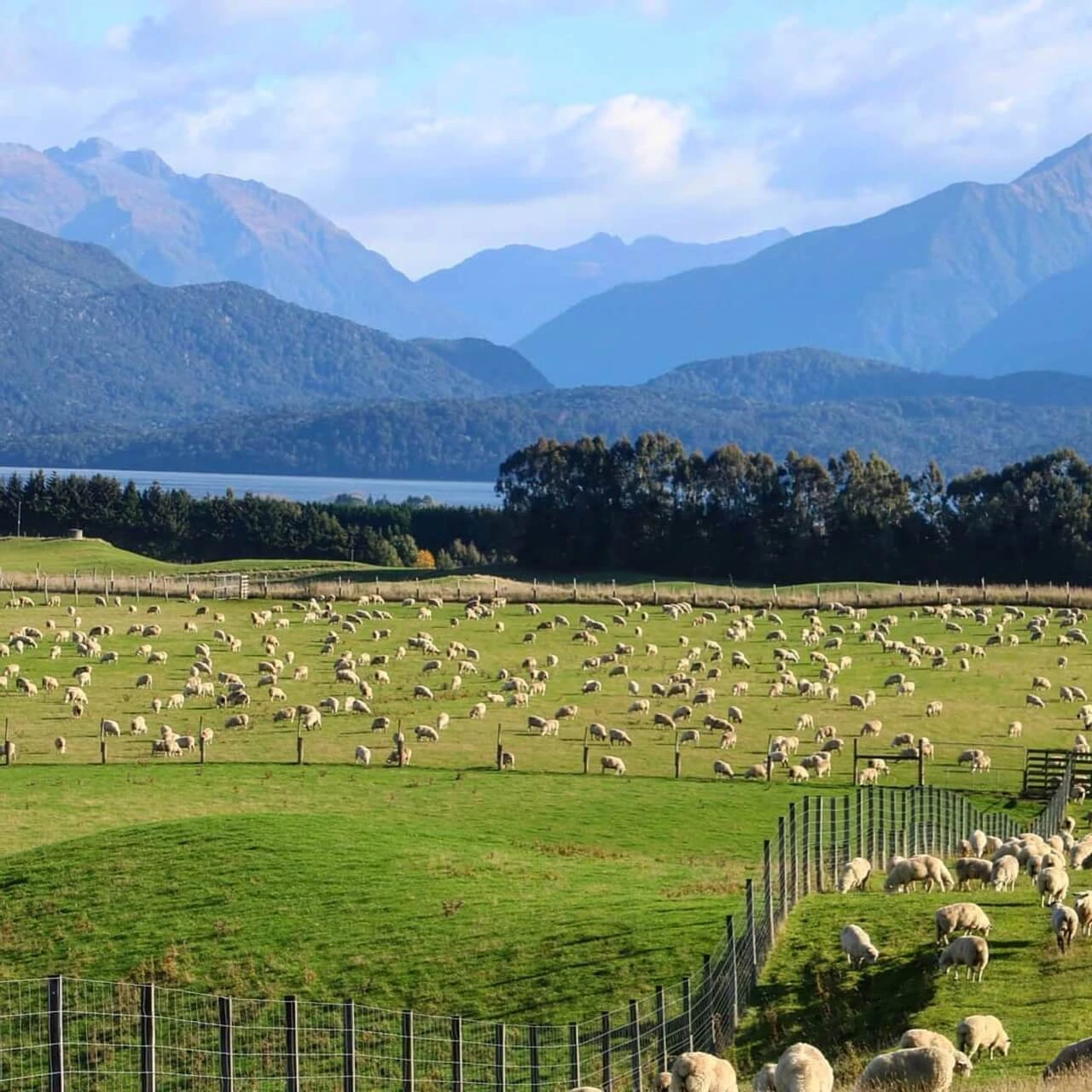 Farming SouthlandNew Zealand Credit Dusky Ridges 13 1