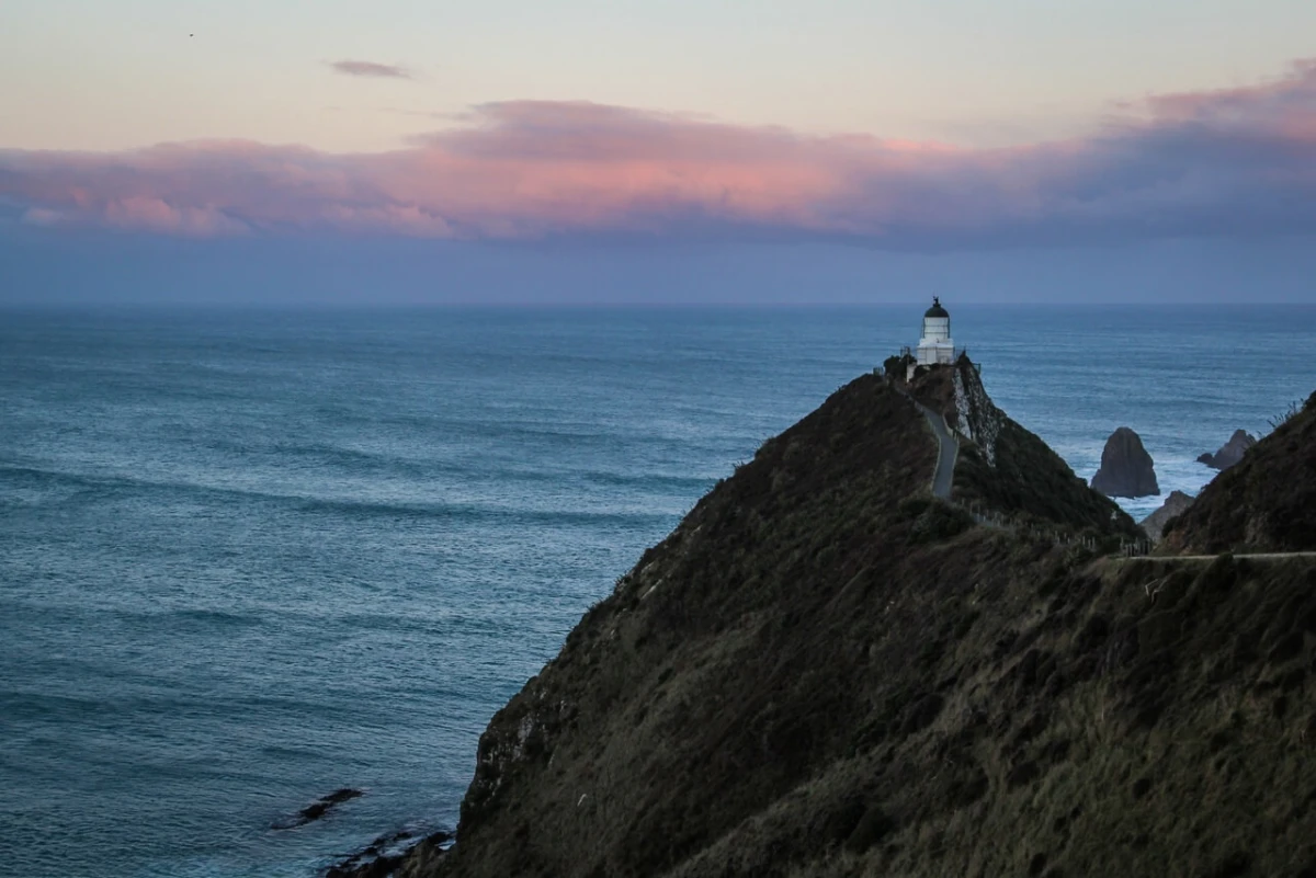 Nugget Point The Catlins Southland New Zealand Credit Liz Carlson 1