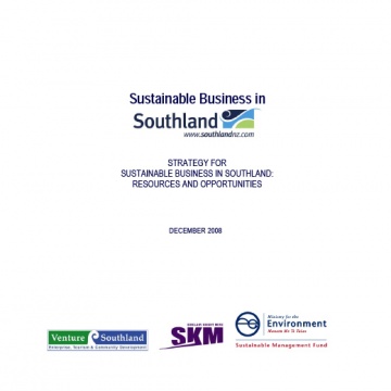 Sustainable Business Strategy - 2008